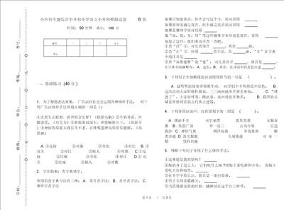 小升初专题综合小升初小学语文小升初模拟试卷B卷