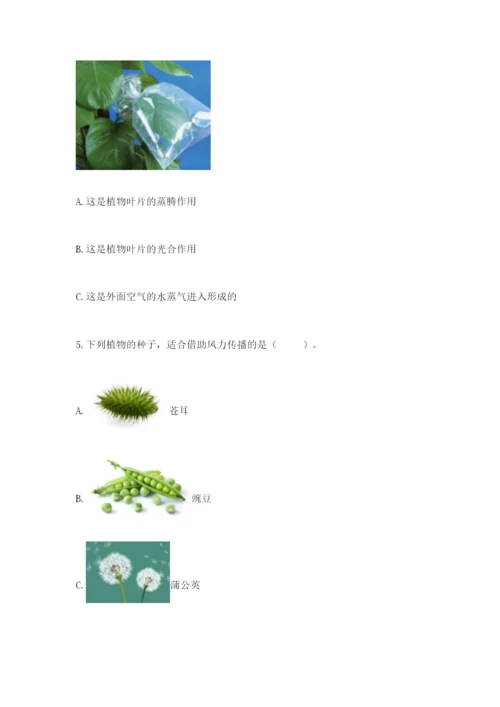 教科版四年级下册科学第一单元《植物的生长变化》测试卷【实用】.docx