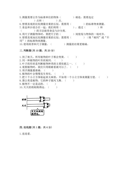 教科版科学一年级上册期末测试卷精品（夺冠系列）.docx