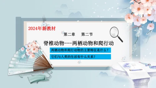 2.2.2脊椎动物（第2课时两栖动物和爬行动物）-七年级生物上册同步优质备课系列（人教版2024新教