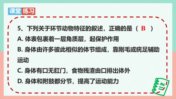 5.1.2线形动物和环节动物课件-人教版生物八年级上册(共47张PPT)