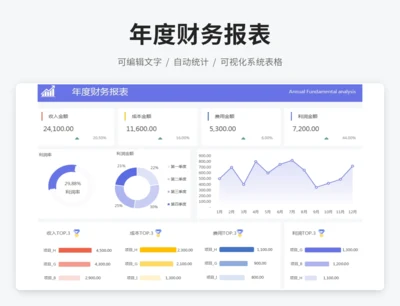 年度财务报表