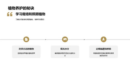 植物的生长过程