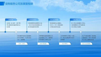 蓝色流程时间轴发展历程关系页