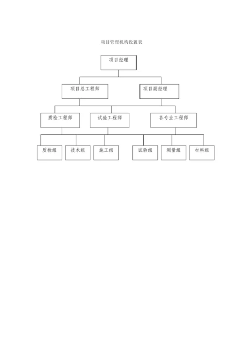 项目管理机构设置及专业人员配置.docx