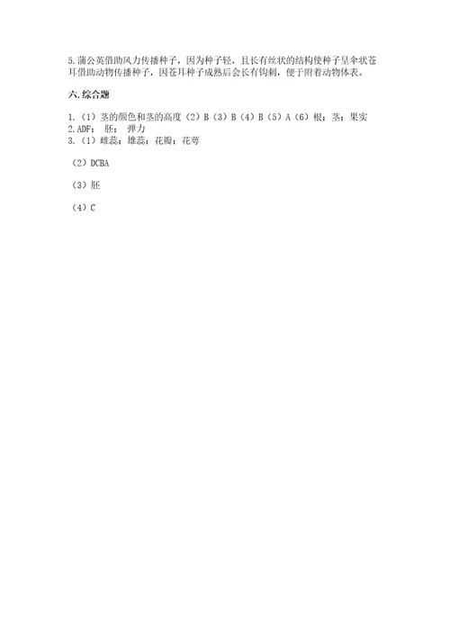 教科版科学四年级下册第一单元《植物的生长变化》测试卷（综合卷）