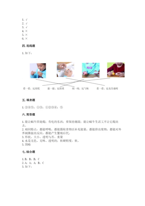教科版小学科学一年级下册期末测试卷附完整答案【夺冠系列】.docx