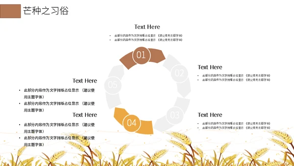 二十四节气芒种介绍通用PPT模板
