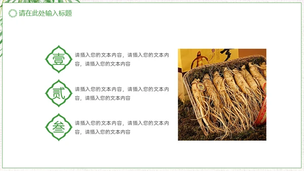 中草药中药人参通用PPT模板