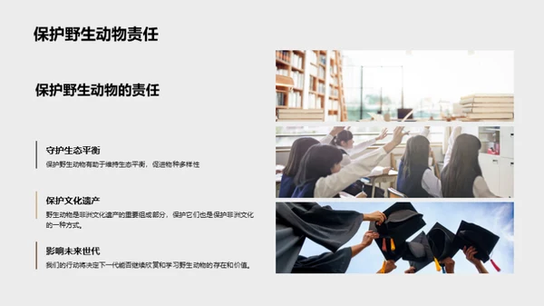 探索非洲野生动物之旅
