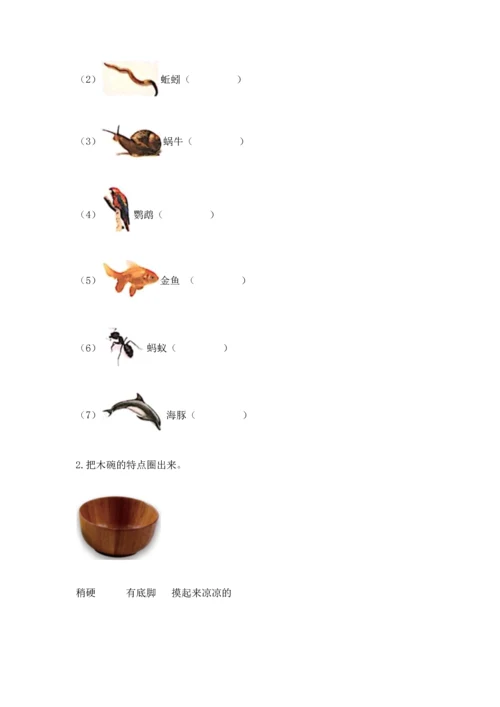 教科版二年级上册科学期末测试卷精品【必刷】.docx