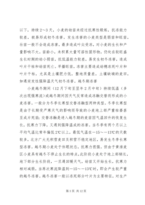 自然灾害及应对课题报告.docx