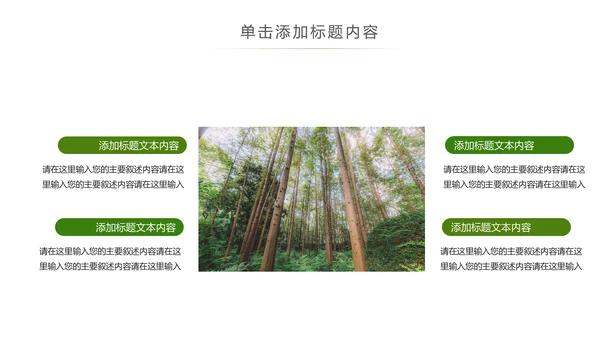 原始森林湿地植树造林森林环保PPT模板