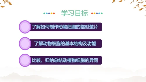 人教版（2024）七年级上册1.2.3动物细胞 课件(共27张PPT)