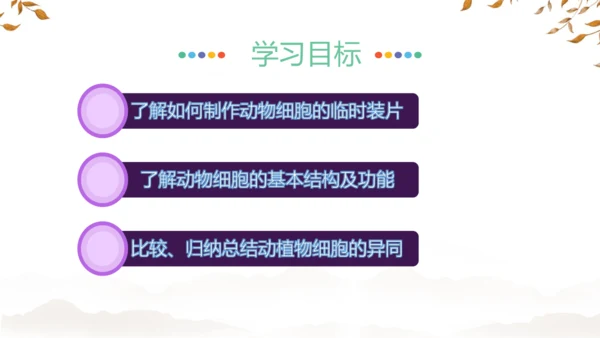人教版（2024）七年级上册1.2.3动物细胞 课件(共27张PPT)