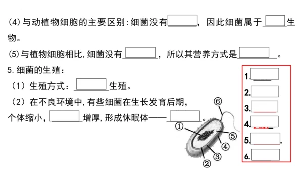 人教版生物八年级上册期末考试知识点汇总（课件）(共28张PPT)