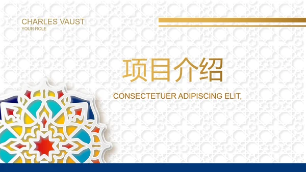炫彩高端霸气创业融资计划书商业计划书PPT