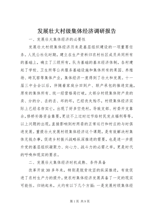 发展壮大村级集体经济调研报告 (2).docx