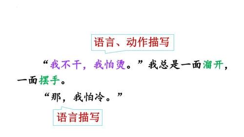 26《宝葫芦的秘密（节选）》课件