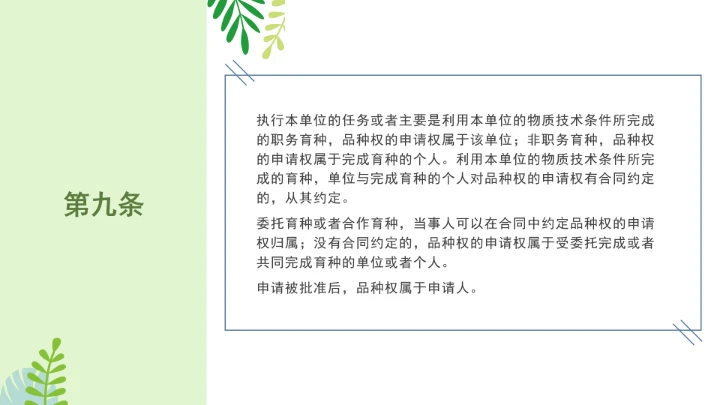 普法全文学习2025年4月新修订《中华人民共和国植物新品种保护条例》PPT课件