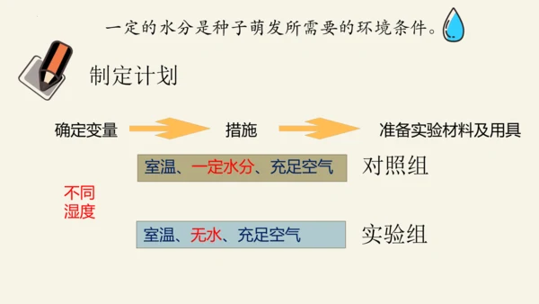 3.2.1 种子的萌发-2023-2024学年七年级生物上册优质课件（人教版）(共28张PPT)