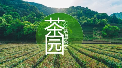 绿色清新茶园茶艺茶道文化动态PPT模板