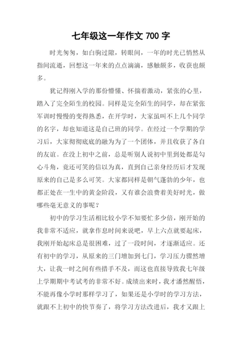 七年级这一年作文700字-3.docx