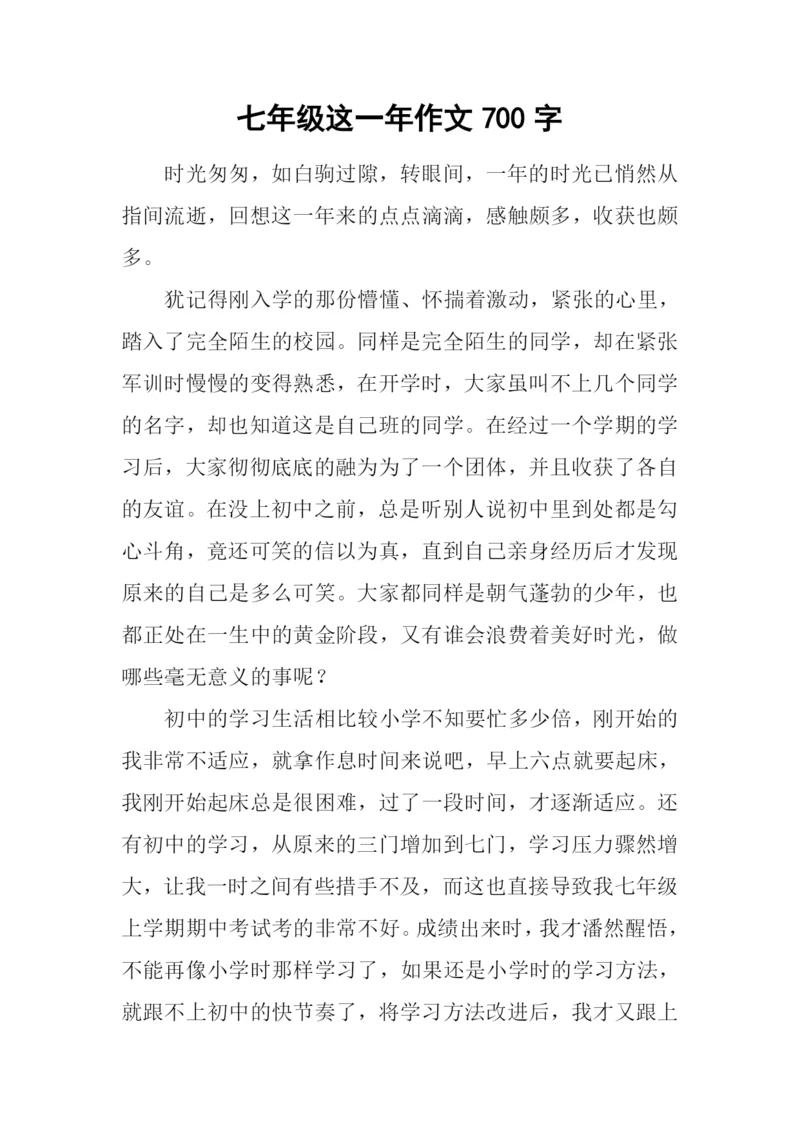 七年级这一年作文700字-3.docx
