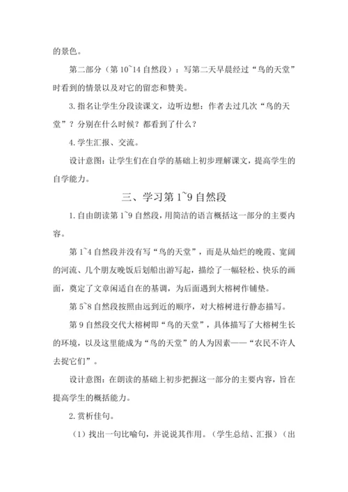 23 鸟的天堂 教案
