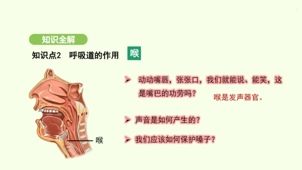 第四单元-第三章-第一节-呼吸道对空气的处理课件-2024-2025学年七年级生物下学期人教版(20