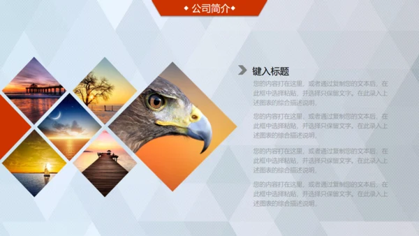 商业轻奢大气银灰色创业项目计划书通用PPT