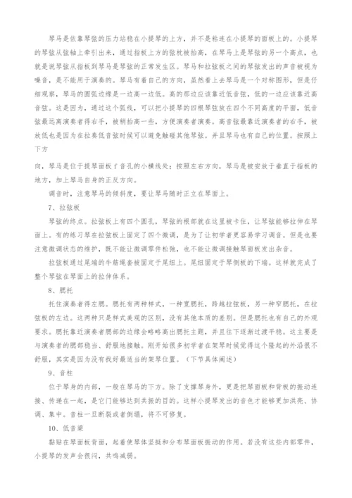 解析小提琴的基本构造.docx