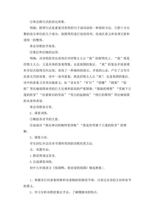 初中九年级语文《祖国啊，我亲爱的祖国》精选教案.docx