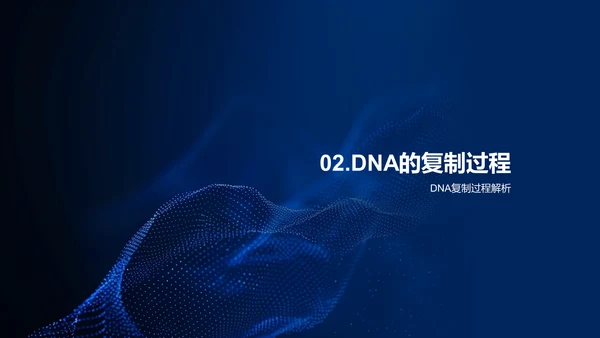 DNA结构与功能PPT模板