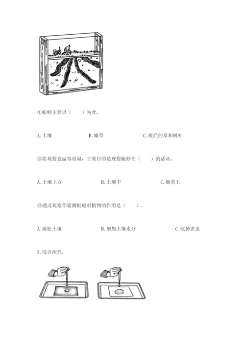 教科版二年级上册科学期末测试卷带答案（实用）.docx