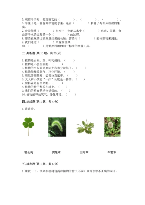 教科版科学一年级上册期末测试卷及1套参考答案.docx