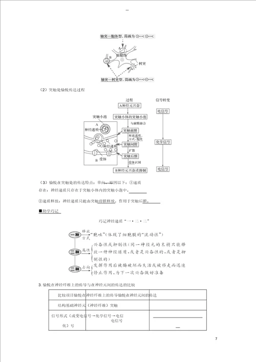 江苏专版2019版高考生物大一轮复习第八单元生命活动的调节第24讲神经调节学案