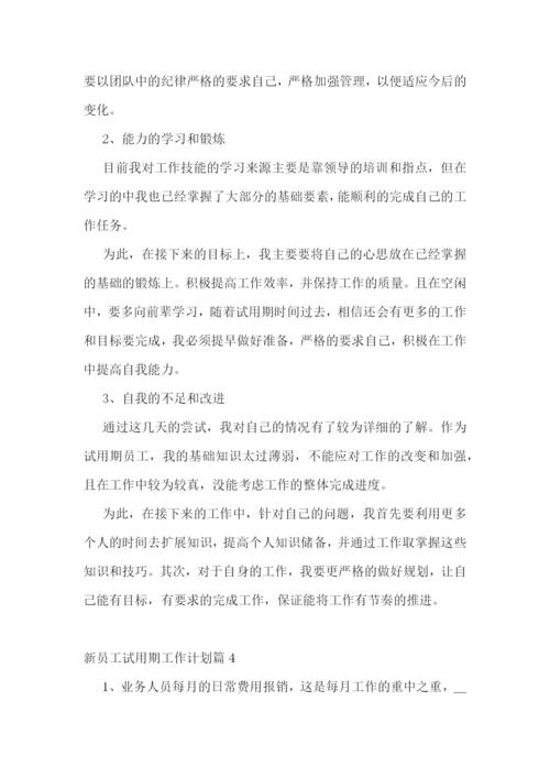 新员工试用期工作计划.docx