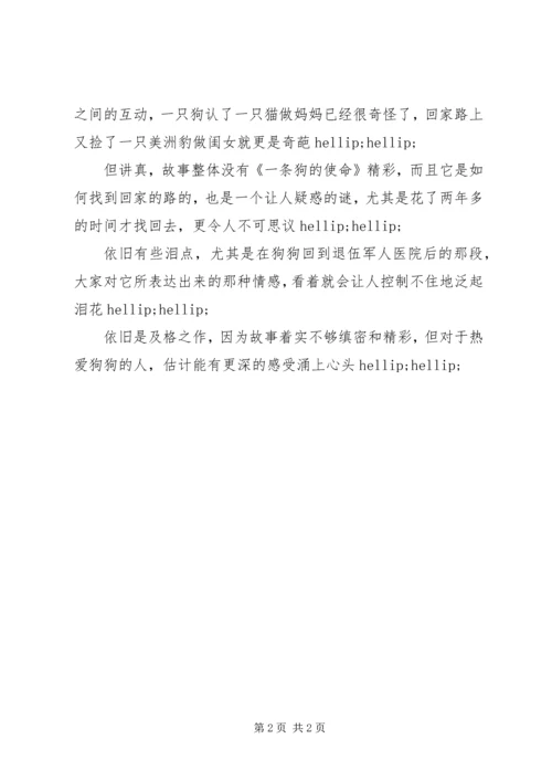 最新一条狗的回家路观后感.docx