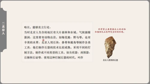 中学历史课人类起源《北京人》通用PPT模板
