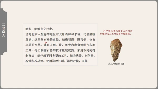 中学历史课人类起源《北京人》通用PPT模板