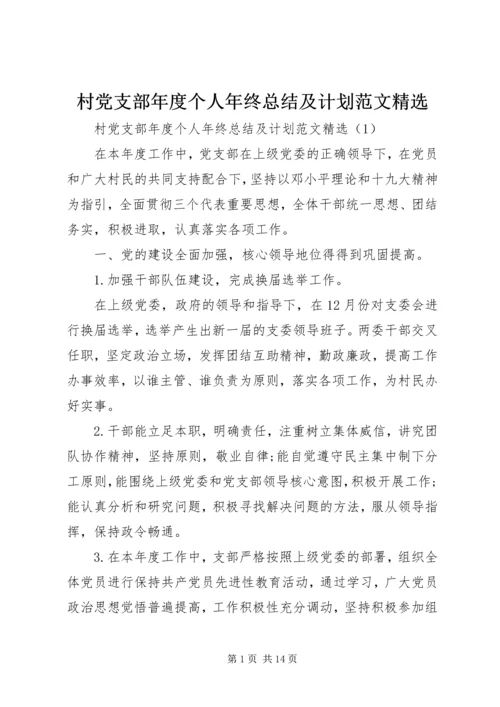 村党支部年度个人年终总结及计划范文精选.docx