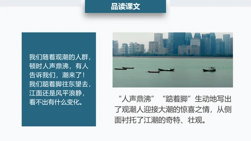 观潮钱塘江小学语文PPT课件