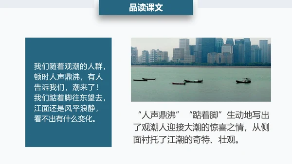 观潮钱塘江小学语文PPT课件