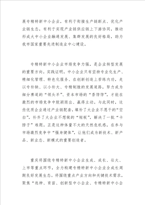 中心组研讨发言专精特新为产业创新发展蓄势添能