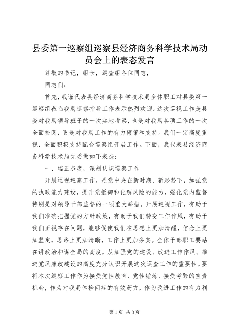 县委第一巡察组巡察县经济商务科学技术局动员会上的表态发言.docx