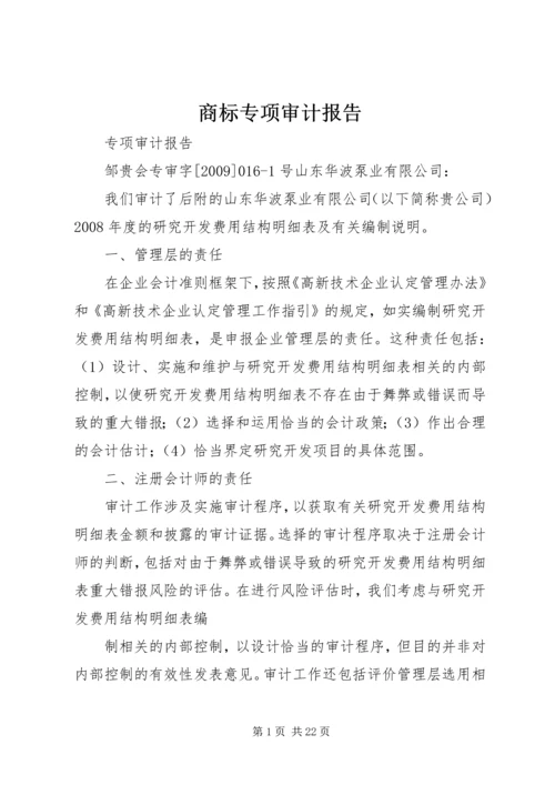 商标专项审计报告 (4).docx