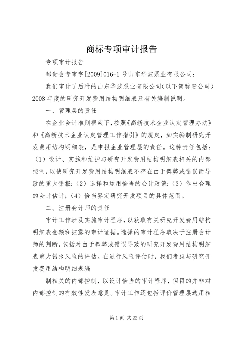 商标专项审计报告 (4).docx