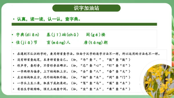 统编版2024三年级语文上册第四单元复习   课件