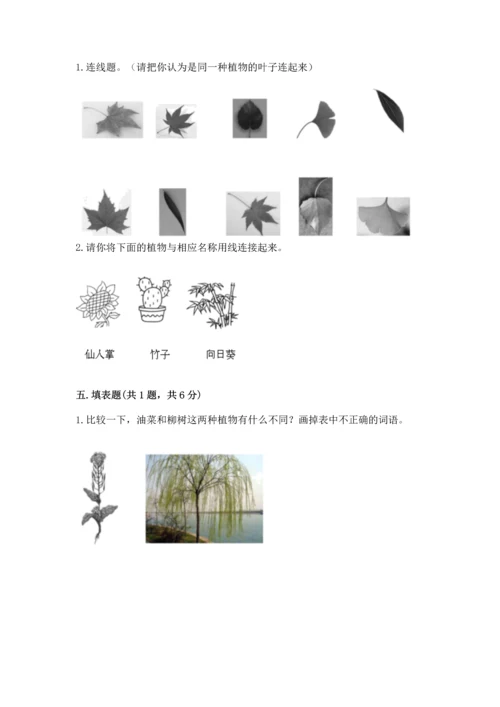 教科版科学一年级上册第一单元《植物》测试卷精选.docx